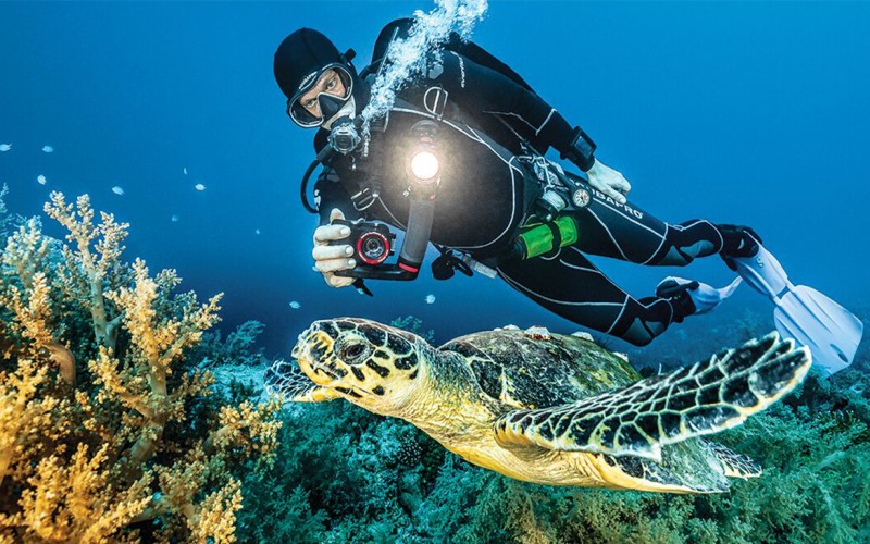 Underwater Photography
